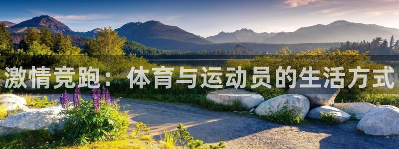 海南oety欧亿体育官网下载发展怎么样：激情竞跑：体
