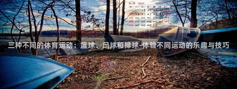 oety欧亿体育官网下载娱乐：三种不同的体育运动：篮球、足球