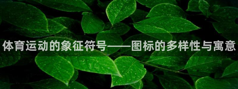 oety欧亿体育官网下载开户：体育运动的象征符号——图标的多