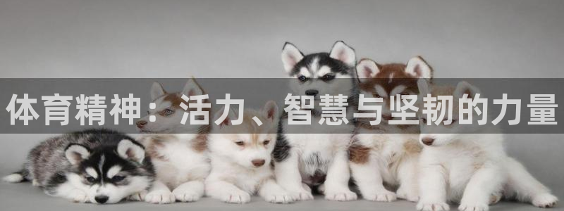 oety欧亿体育官网下载招商电话号码是多少啊：体育精