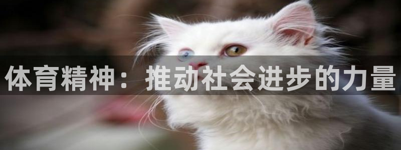 oety欧亿体育官网下载：体育精神：推动社会进步的力