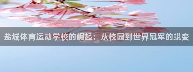 oety欧亿体育官网下载招商电话号码是多少啊：盐城体育运动学