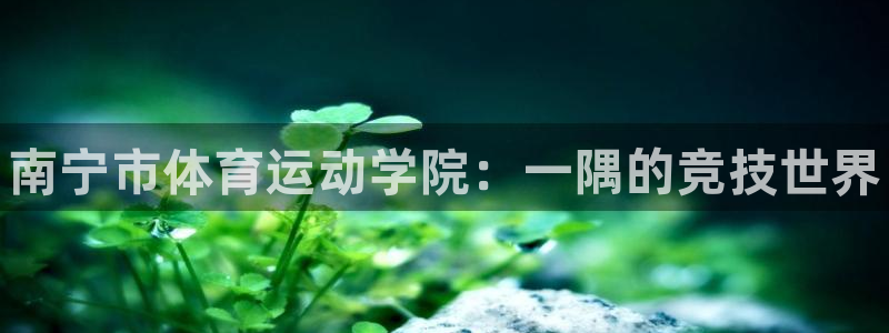 欧亿体育官方正版app娱乐：南宁市体育运动学院：一隅