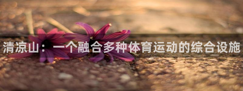 oety欧亿体育官网下载是干嘛的公司：清凉山：一个融