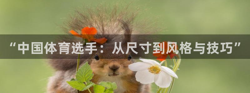 欧亿体育官方正版app集团官网首页：“中国体育选手：