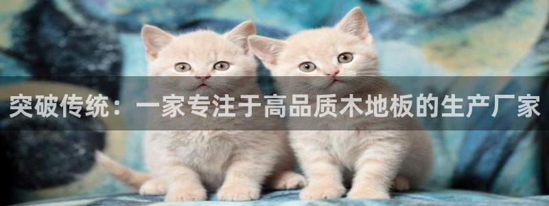 欧亿体育官方正版app集团官网首页：突破传统：一家专