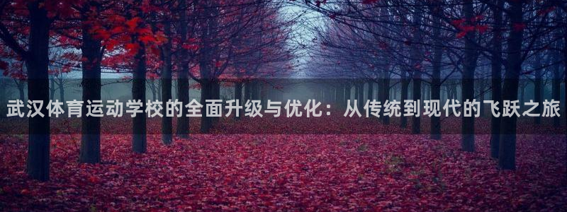 oety欧亿体育官网下载平台APP：武汉体育运动学校