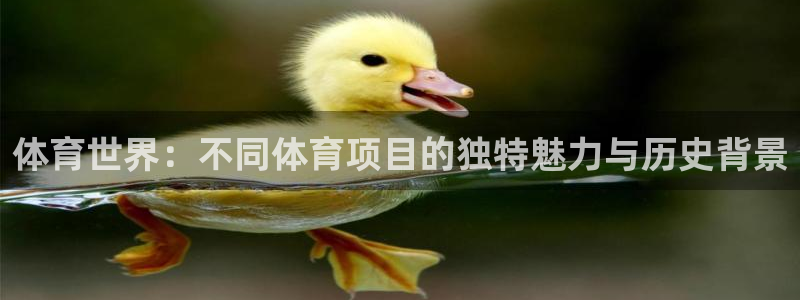 oety欧亿体育官网下载开户：体育世界：不同体育项目