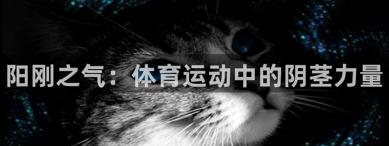oety欧亿体育官网下载招商电话号码：阳刚之气：体育