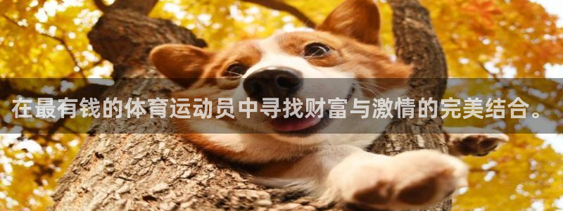 oety欧亿体育官网下载平台假的吗是真的吗：在最有钱