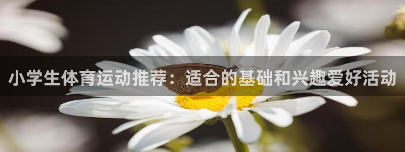 oety欧亿体育官网下载招商电话号码是多少：小学生体