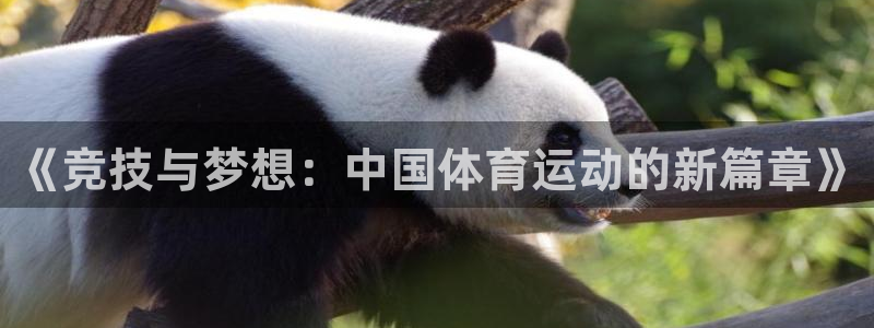 欧亿体育官方正版app代理：《竞技与梦想：中国体育运