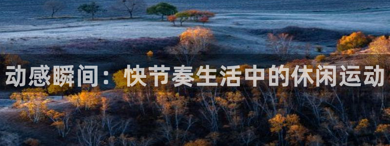 海南oety欧亿体育官网下载：动感瞬间：快节奏生活中的休闲运