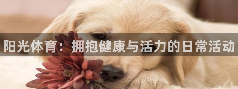 oety欧亿体育官网下载平台是正规平台吗知乎：阳光体