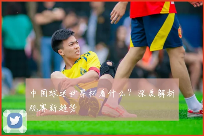 中国球迷世界杯看什么？深度解析观赛新趋势