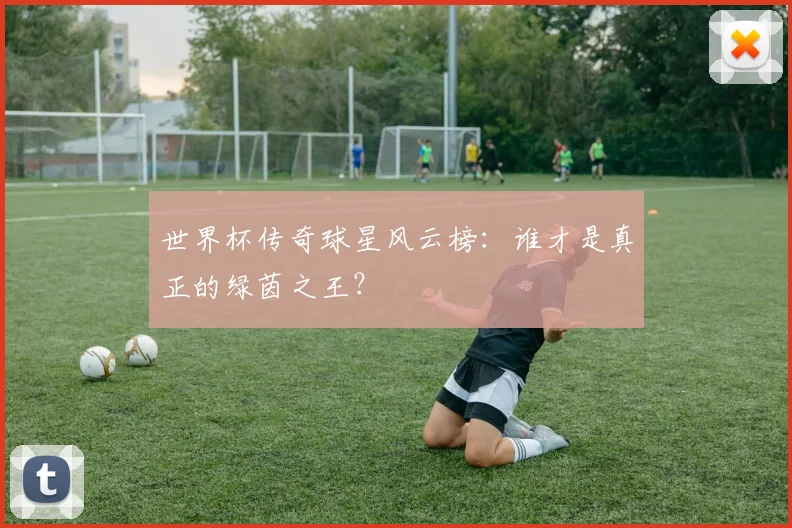 世界杯传奇球星风云榜:谁才是真正的绿茵之王?