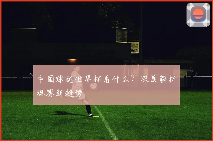 中国球迷世界杯看什么?深度解析观赛新趋势